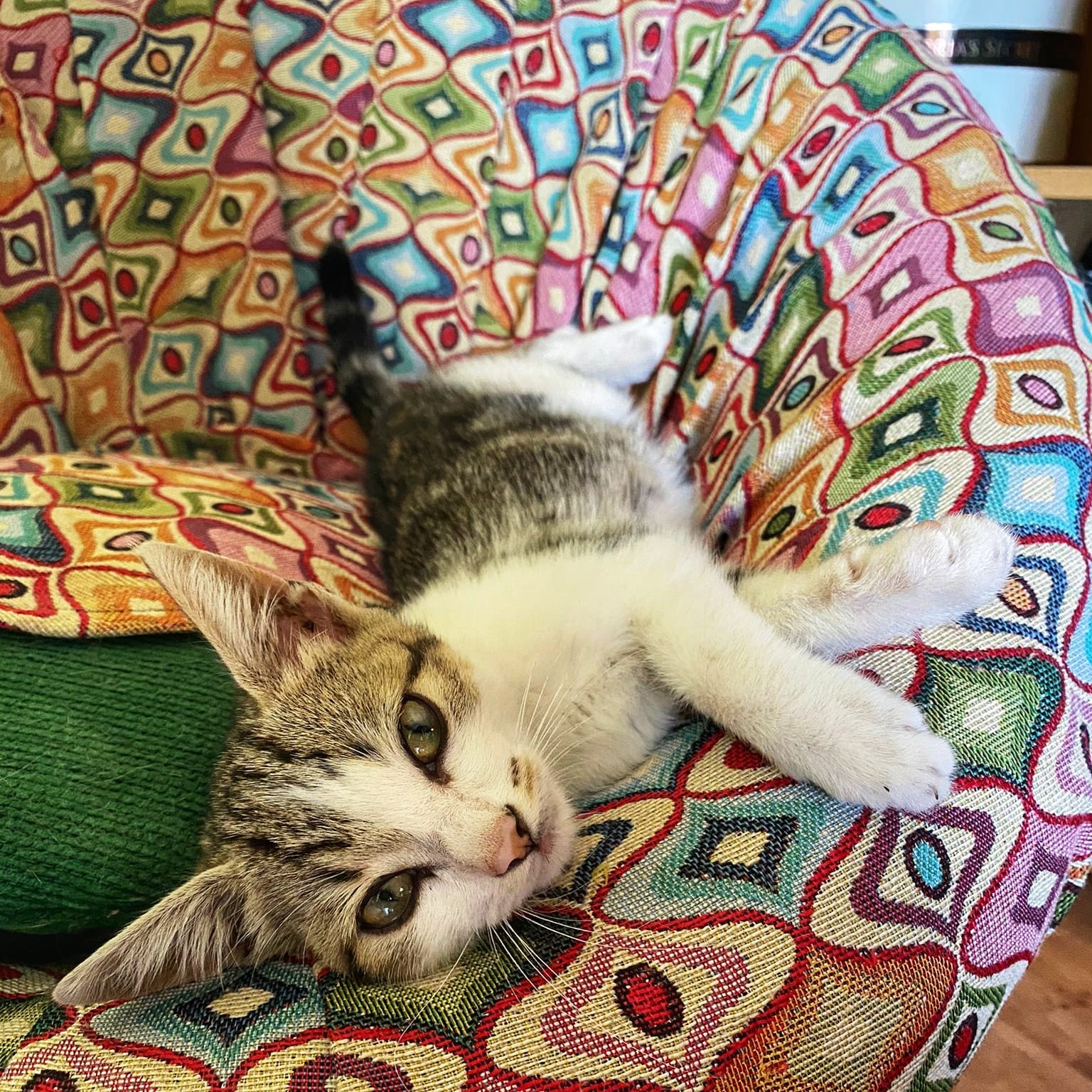 WhatsApp Image 2021-09-20 at 12.23.19 (5)