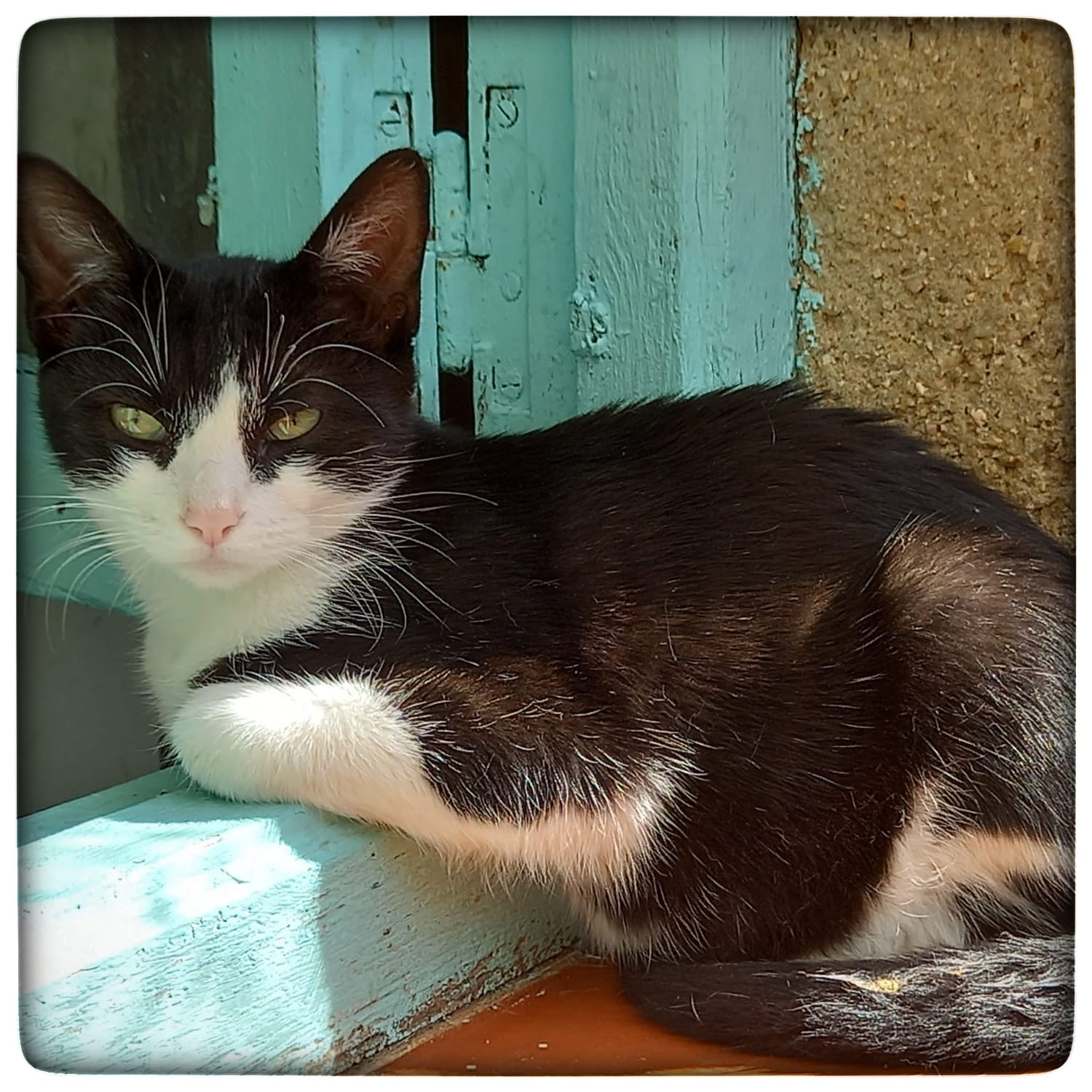 WhatsApp Image 2021-09-25 at 11.28.16 (1)