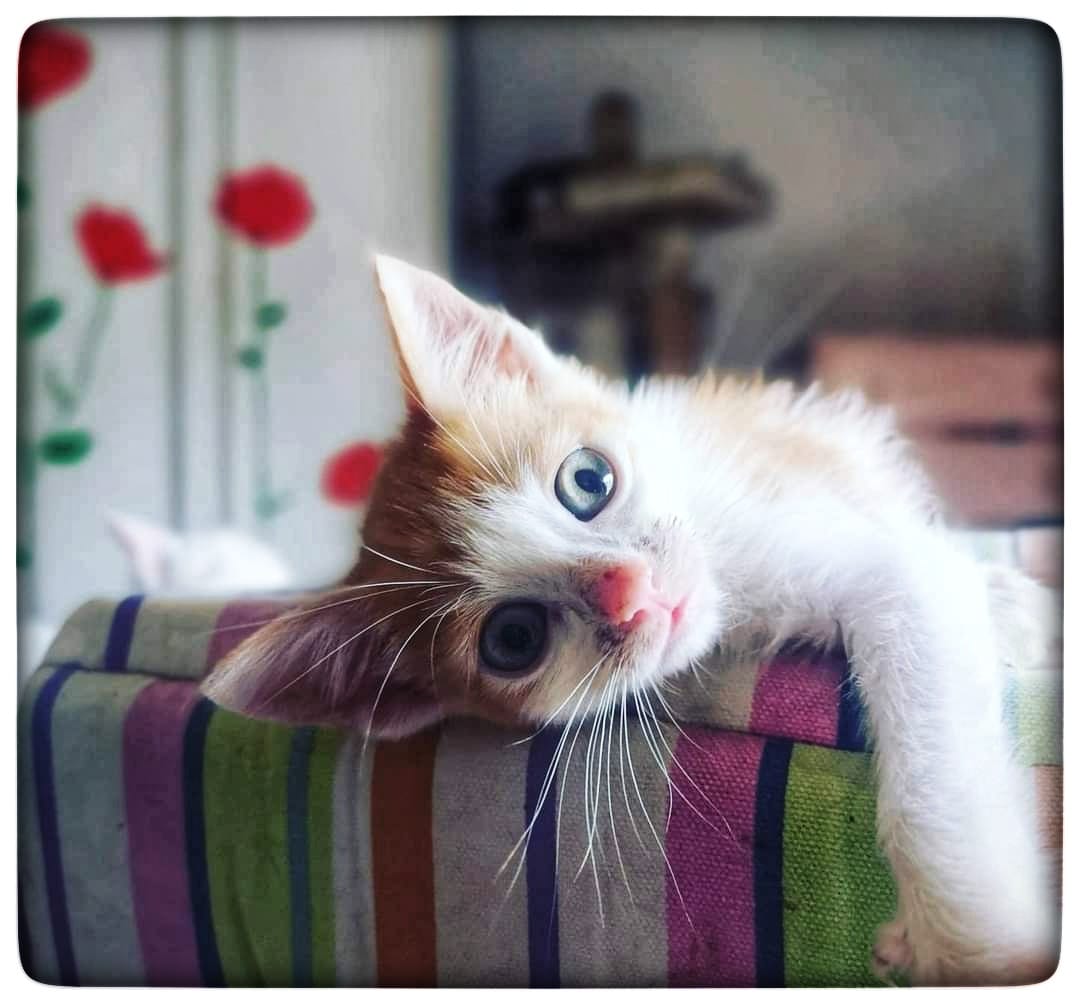 WhatsApp Image 2021-09-30 at 11.18.33 (1)