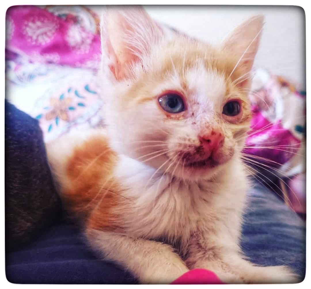 WhatsApp Image 2021-09-30 at 11.18.33 (2)