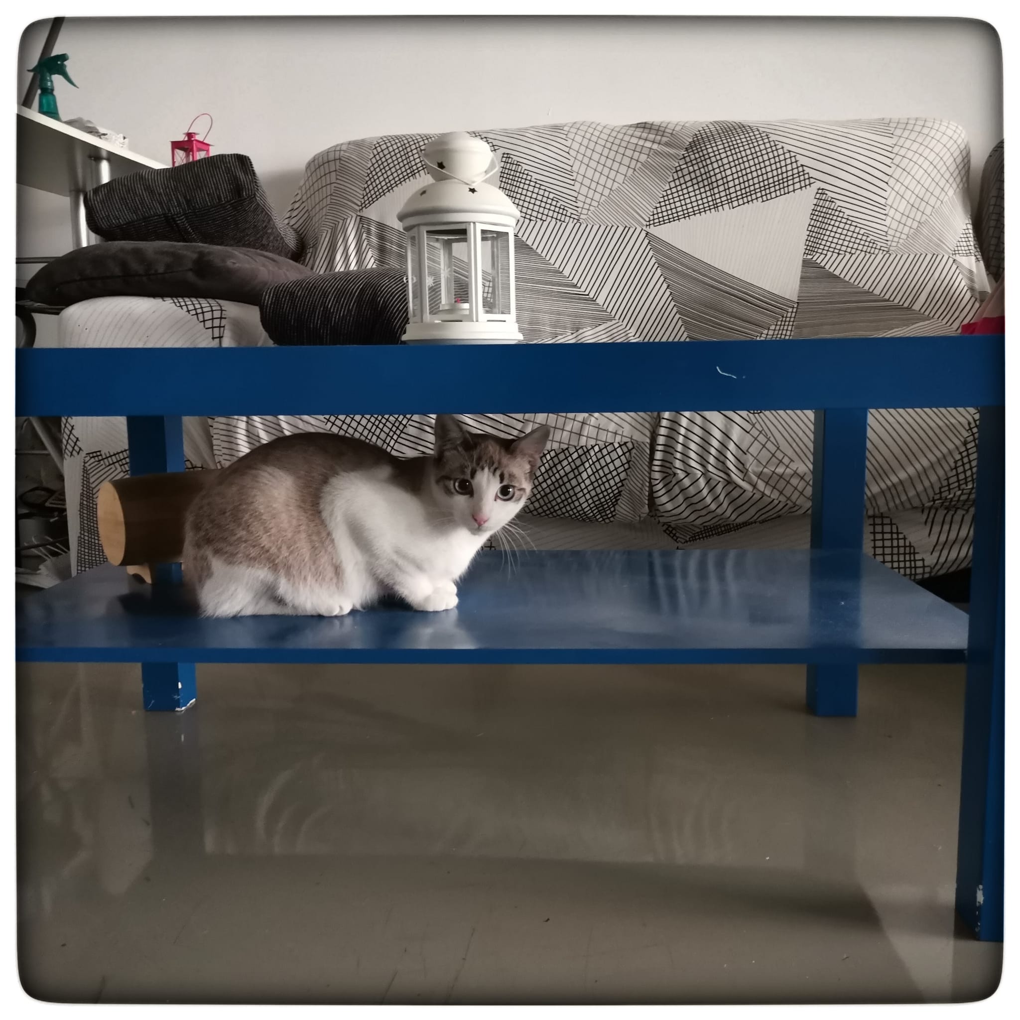 WhatsApp Image 2021-11-13 at 12.16.41