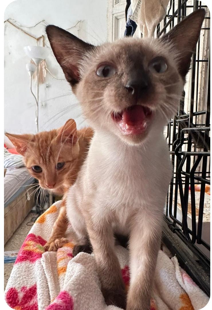 WhatsApp Image 2023-09-27 at 09.16.31 (1)