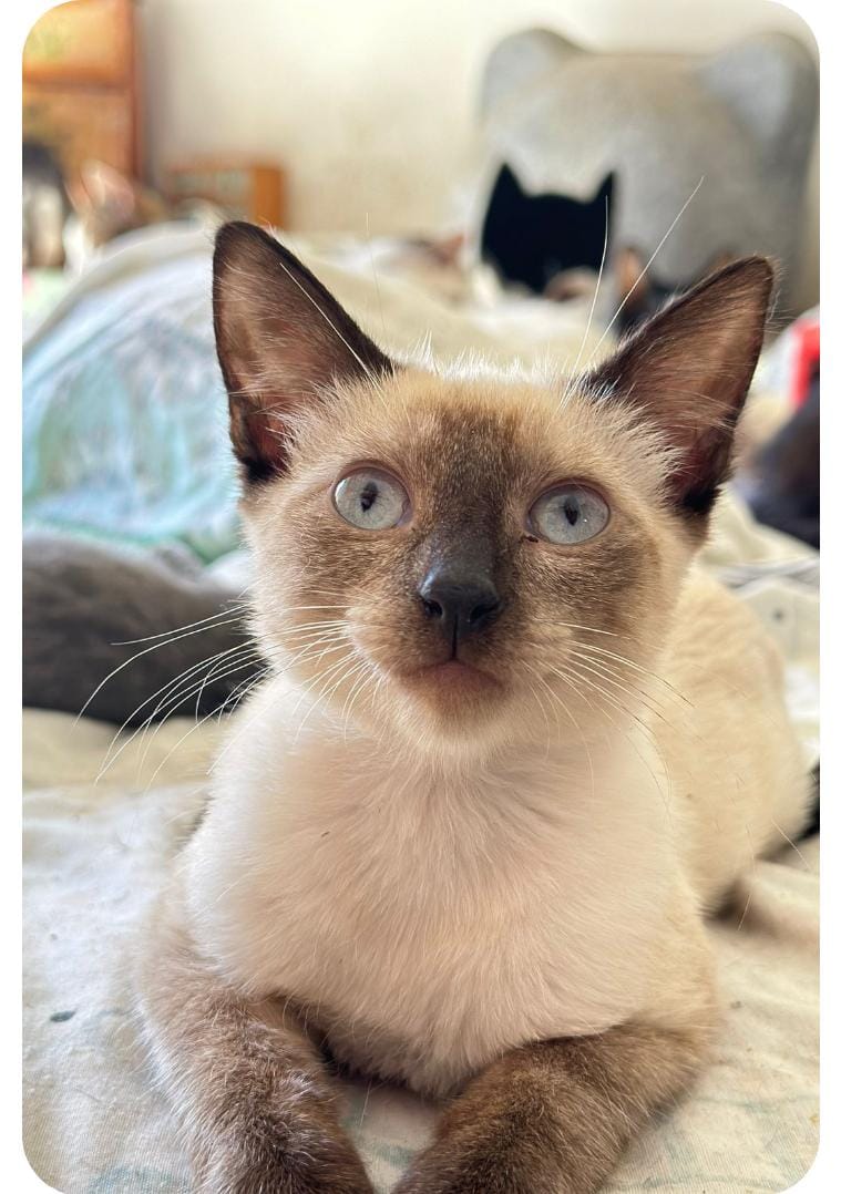 WhatsApp Image 2023-09-27 at 09.16.31 (2)