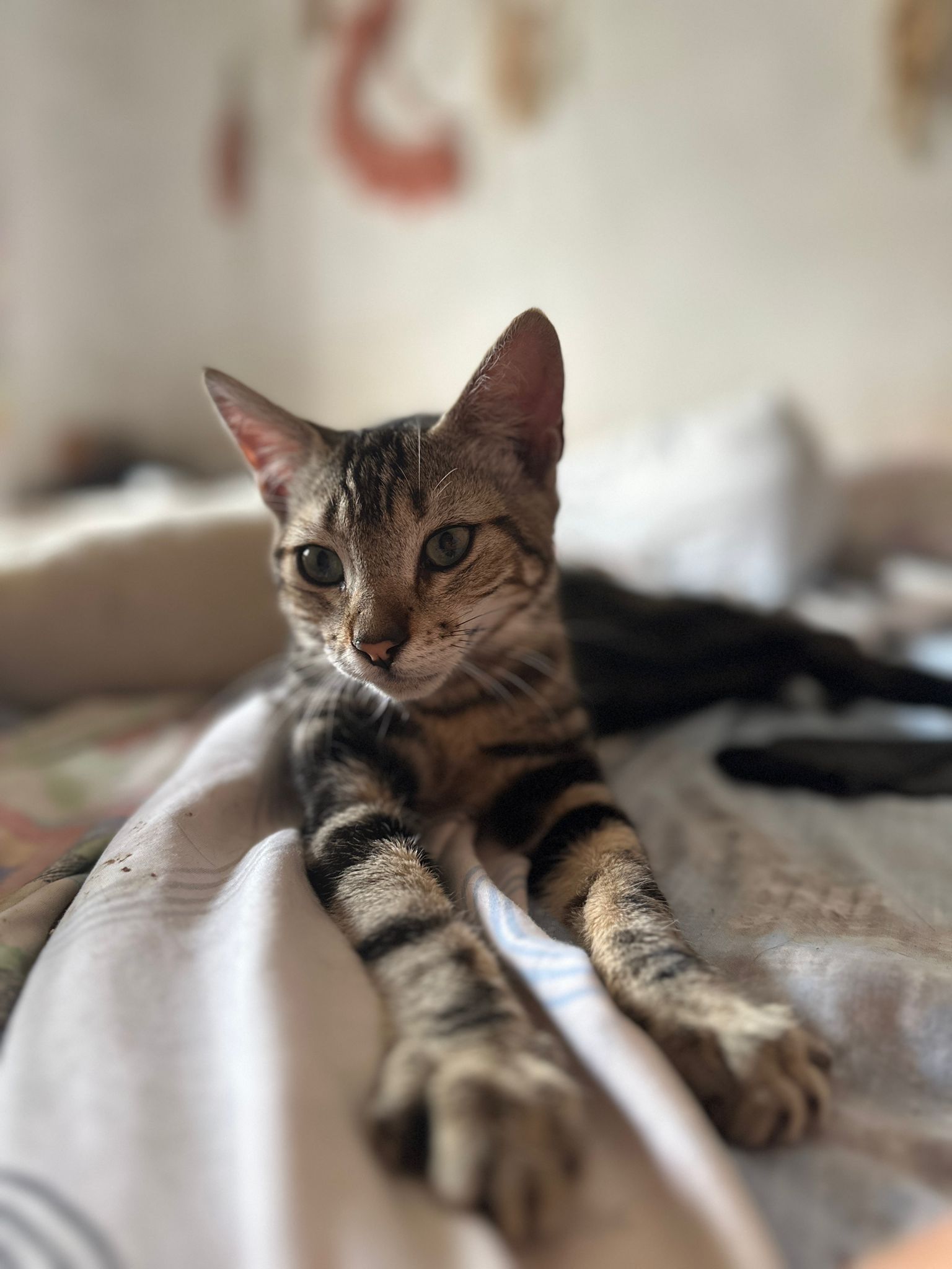 WhatsApp Image 2024-07-22 at 12.07.20