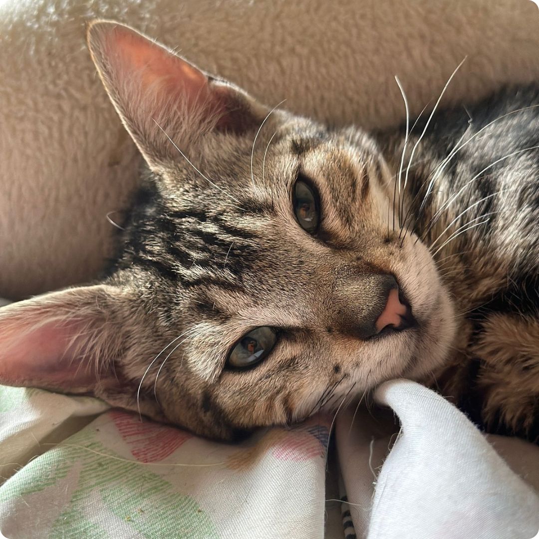 WhatsApp Image 2024-07-29 at 12.07.55