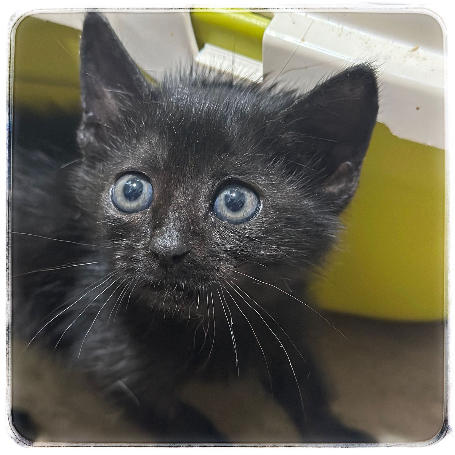 WhatsApp Image 2024-10-15 at 11.36.34 (1)