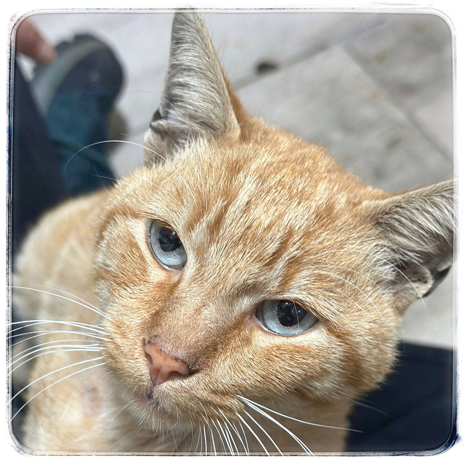 WhatsApp Image 2024-10-15 at 11.36.34