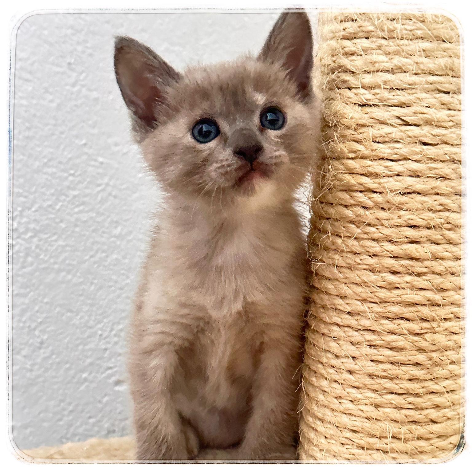 WhatsApp Image 2024-10-18 at 18.42.17